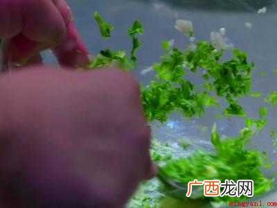 蜗牛怎么吃