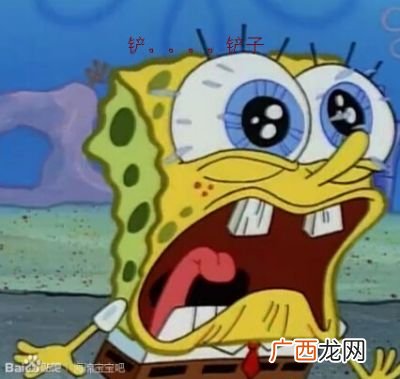 海绵宝宝住在哪里,章鱼哥的家叫什么？
