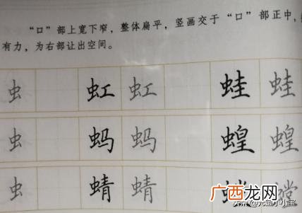 带虫字旁的有哪些字,带虫字旁的动物名称?