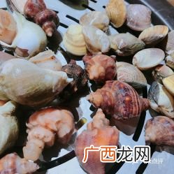加拿大翡翠螺怎么吃,翡翠螺白灼需要煮几分钟？