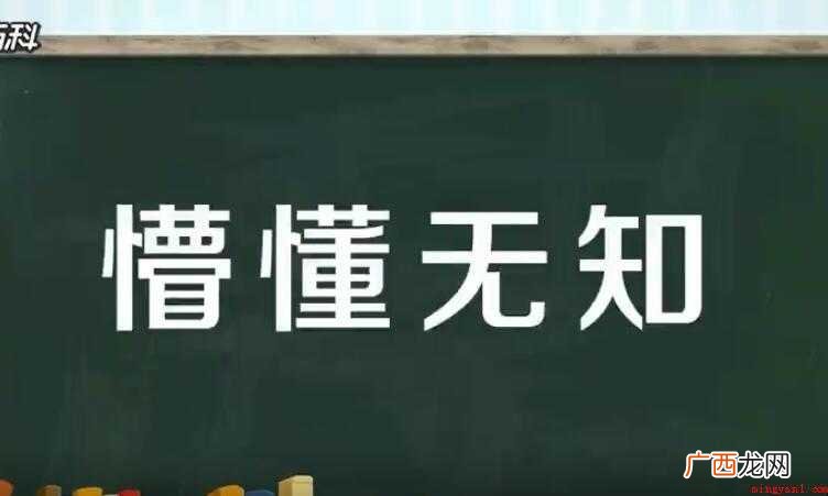 懵懂无知的反义词是什么