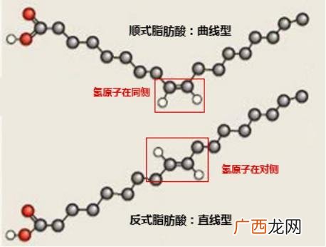 不饱和脂肪酸和饱和脂肪酸的区别,脂肪酸什么意思？