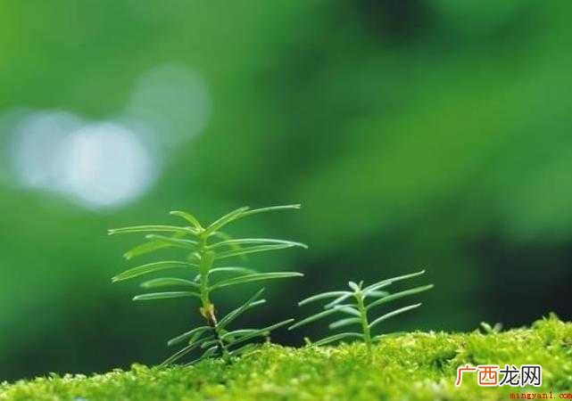 关于意义的近义词是什么 意义的近义词是什么