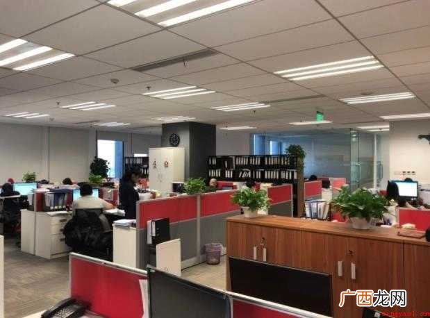 审计实习报告怎么写范文 审计实习报告怎么写