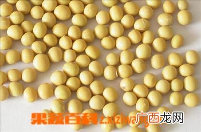如何选择非转基因大豆,非转基因脱脂大豆什么意思？