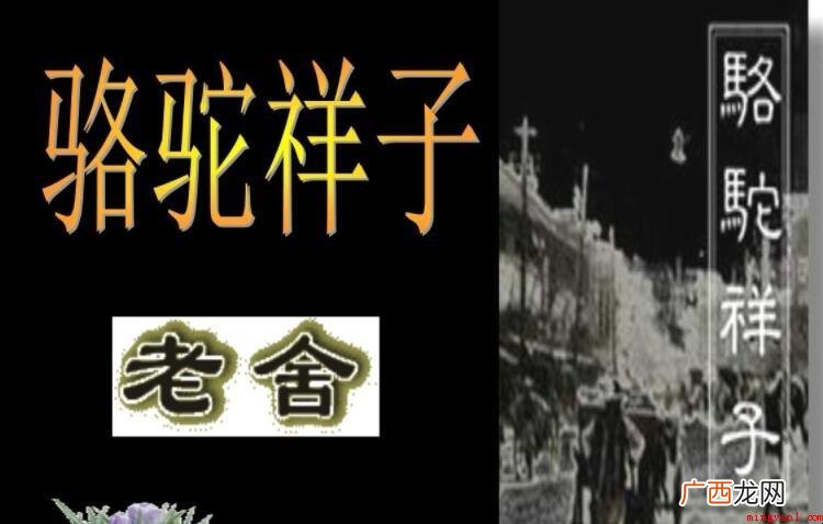 《骆驼祥子》是什么体裁 《骆驼祥子》是什么体裁的