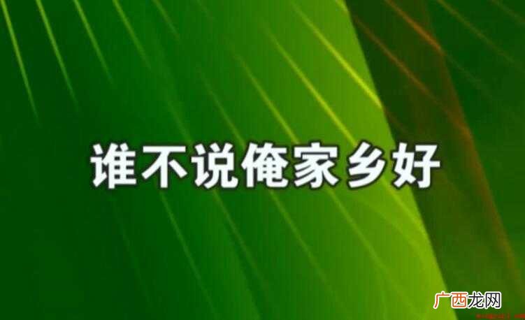 谁不说俺家乡好的歌词是什么 《谁不说俺家乡好》的歌词是什么