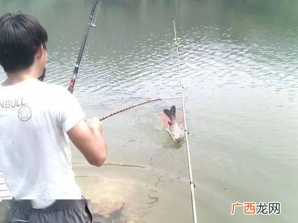 钓鱼是什么意思内涵,两人钓鱼漫画寓意？