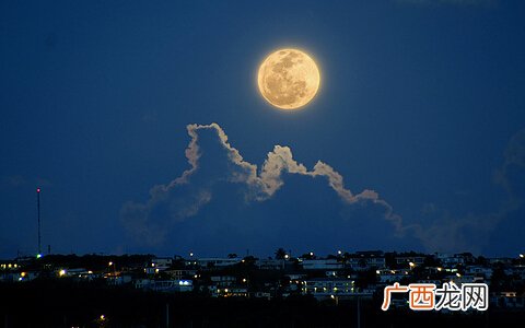 十五夜望月的意思,十五夜望月的诗意是什么？