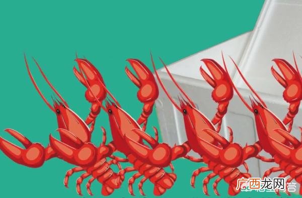 活龙虾怎么保存到第二天,活龙虾怎么保存过夜?