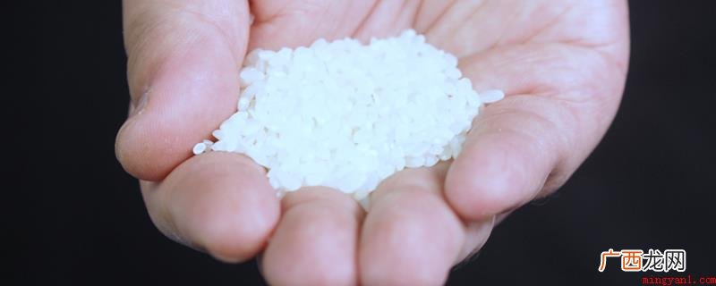 粳米是大米的品种之一_健康频道 粳米是什么米