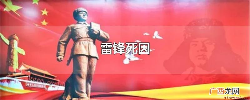 雷锋精神刻苦钻研的 雷锋死因