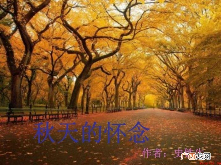 《秋天的怀念》原文是什么