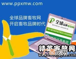 自身优势怎么介绍,优势和自我介绍怎么写？