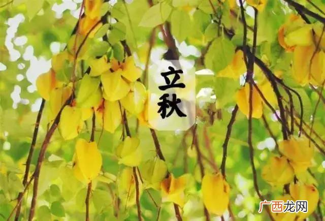 立秋应该吃什么,立秋必吃三大食物？