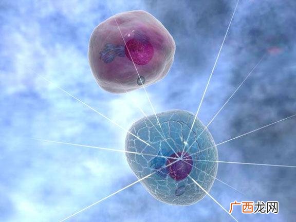 细胞工程有哪些技术,细胞工程有哪些技术？