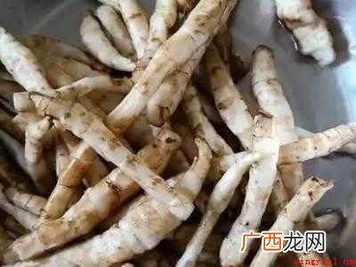 虫草参怎么吃