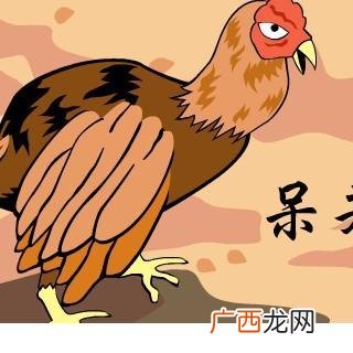呆若木鸡是什么意思,一个公鸡眼睛睁得很大猜成语？