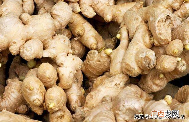 生姜应该如何来保存,生姜在家如何保存?放冰箱里可以么？