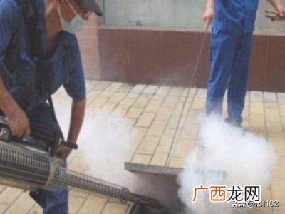家里有白蚁怎么办如何去除,家里发现白蚁怎么办？