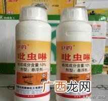 家里有白蚁怎么办如何去除,家里发现白蚁怎么办？