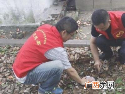家里有白蚁怎么办如何去除,家里发现白蚁怎么办？