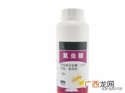 家里有白蚁怎么办如何去除,家里发现白蚁怎么办？