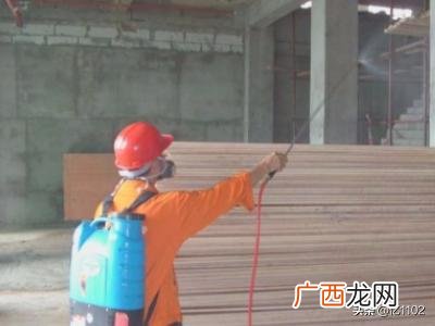 家里有白蚁怎么办如何去除,家里发现白蚁怎么办？