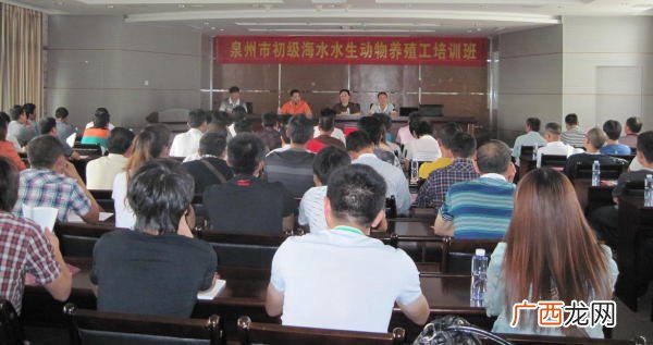 泉州有哪些水生动物,泉州晋江流域鱼类有哪些？