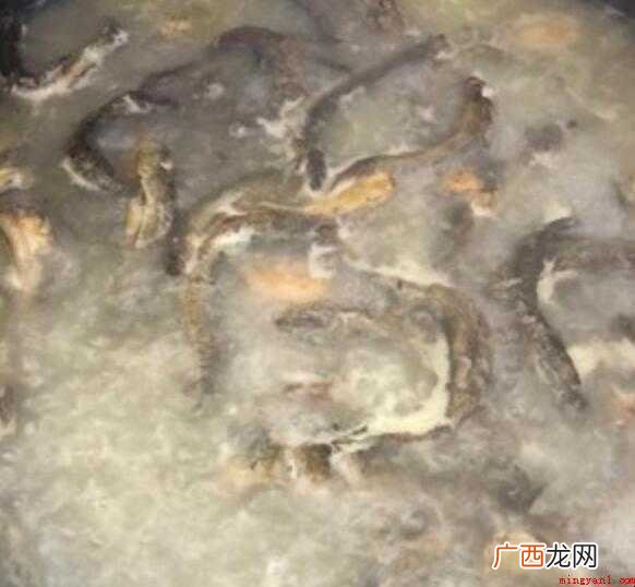 泥鳅钻豆腐的做法流程怎么样