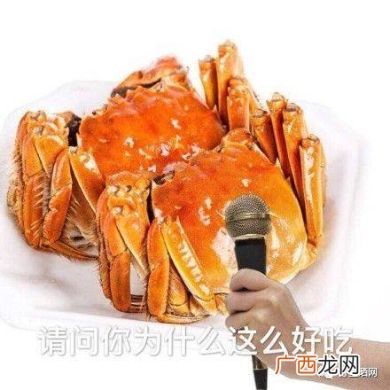 上海蟹是什么蟹,南方大闸蟹跟黄河口大闸蟹区别？