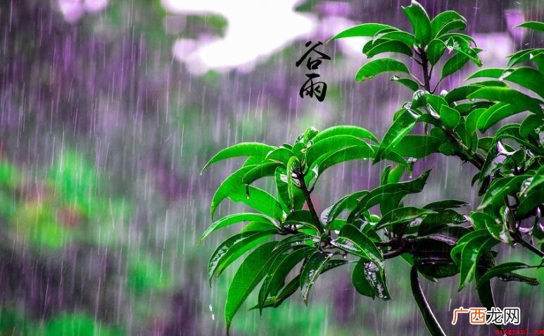 关于谷雨是什么时候 谷类作物能茁壮成长 谷雨是什么时候