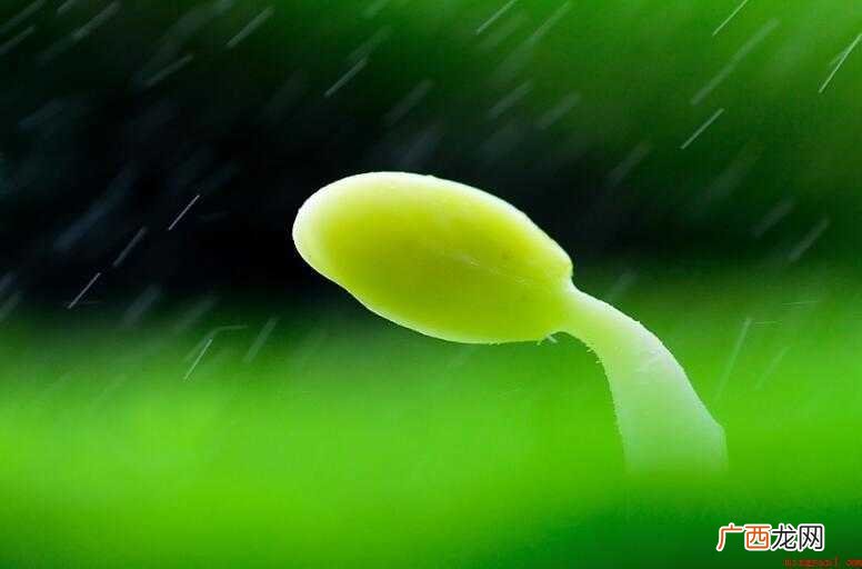 五风十雨有哪些造句