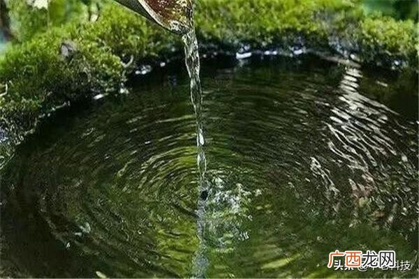 荔枝的保鲜方法,荔枝如何保鲜？