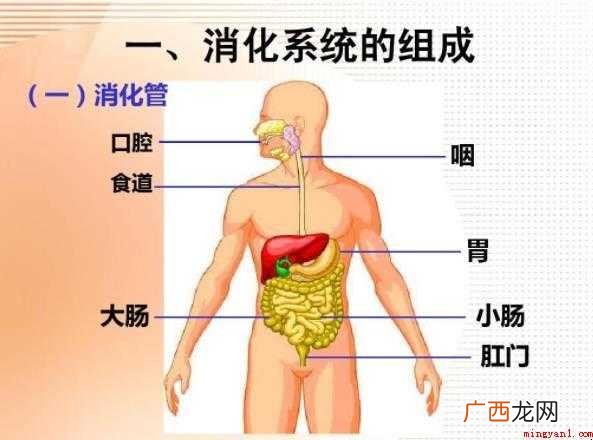 关于吸收的反义词是什么 吸收的反义词是什么