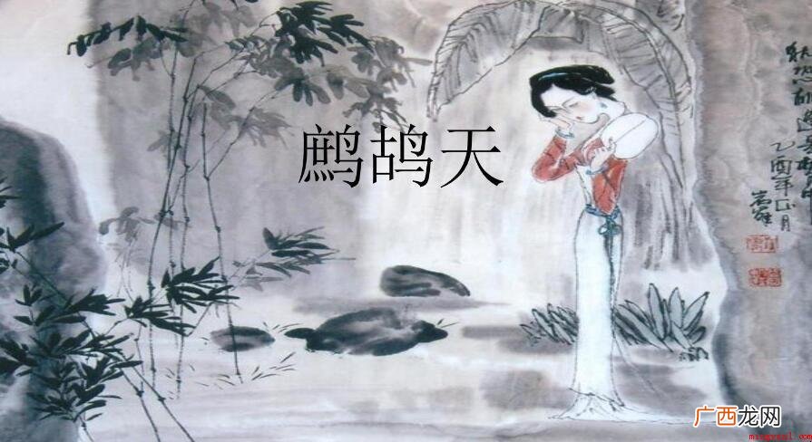 “鹧鸪天”究竟是什么意思 鹧鸪天是什么意思