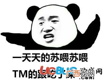 晚上苏喂苏喂啥意思,什么是苏喂摇？