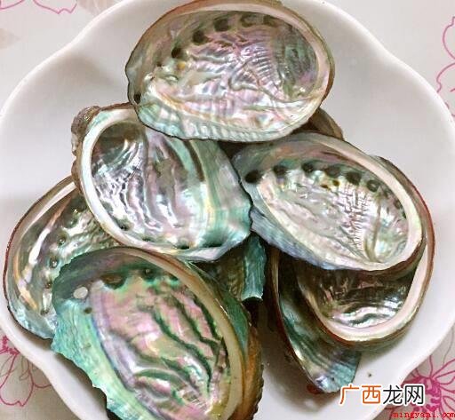 鲍鱼用凉水洗净沥干水分预留 鲍鱼怎么做好吃又入味