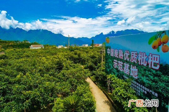 四川省石棉县是哪个市,石棉县汉族人多还是藏族人多？