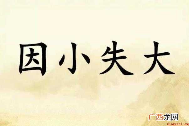 关于因小失大是什么意思 因小失大是什么意思