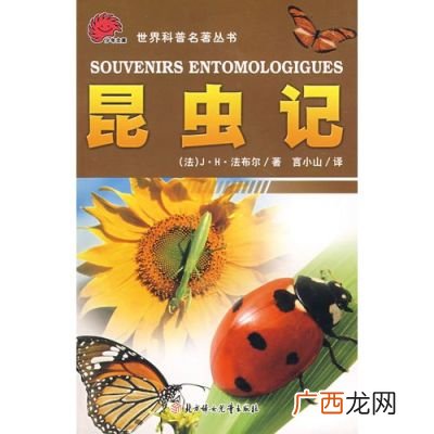 昆虫记简介文章,昆虫记的介绍?