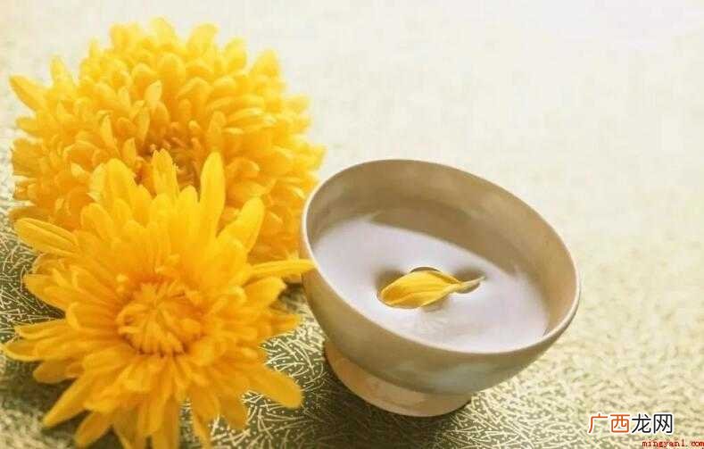 关于重阳节的诗有哪些