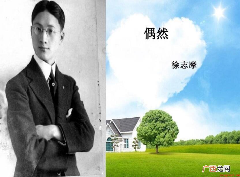 徐志摩《偶然》表达了诗人怎样的情感