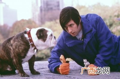 和狗狗有关的电影有哪些,求动物与人的好看、经典电影？