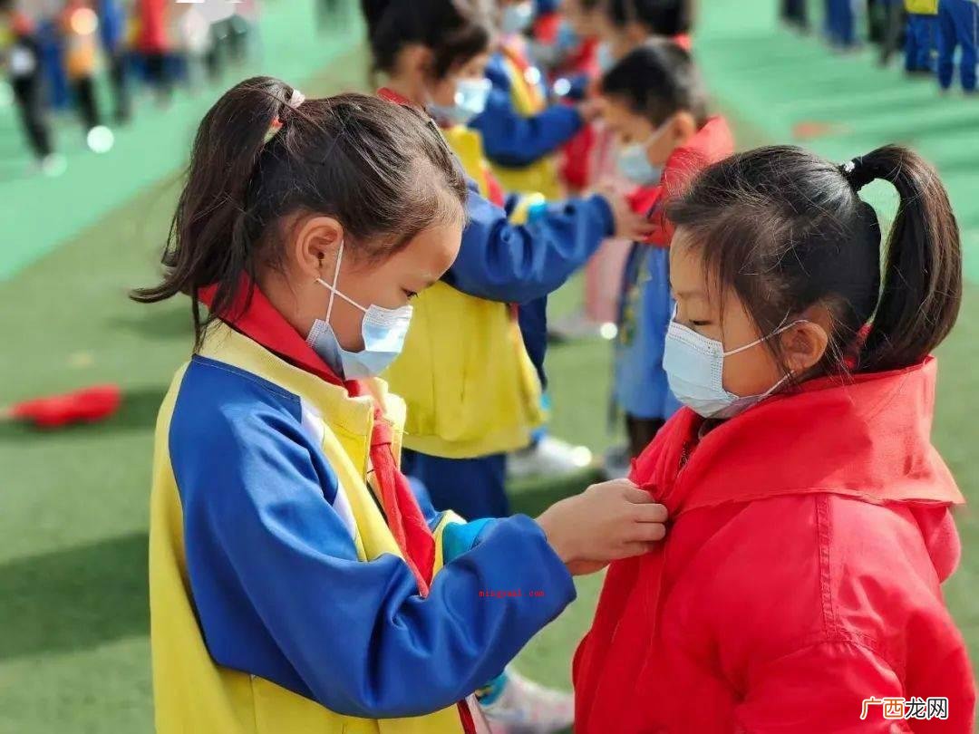 中国少年先锋队全国工作委员会 少先队的全国领导机构是什么？