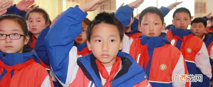 中国少年先锋队全国工作委员会 少先队的全国领导机构是什么？