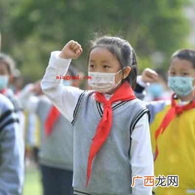 中国少年先锋队全国工作委员会 少先队的全国领导机构是什么？