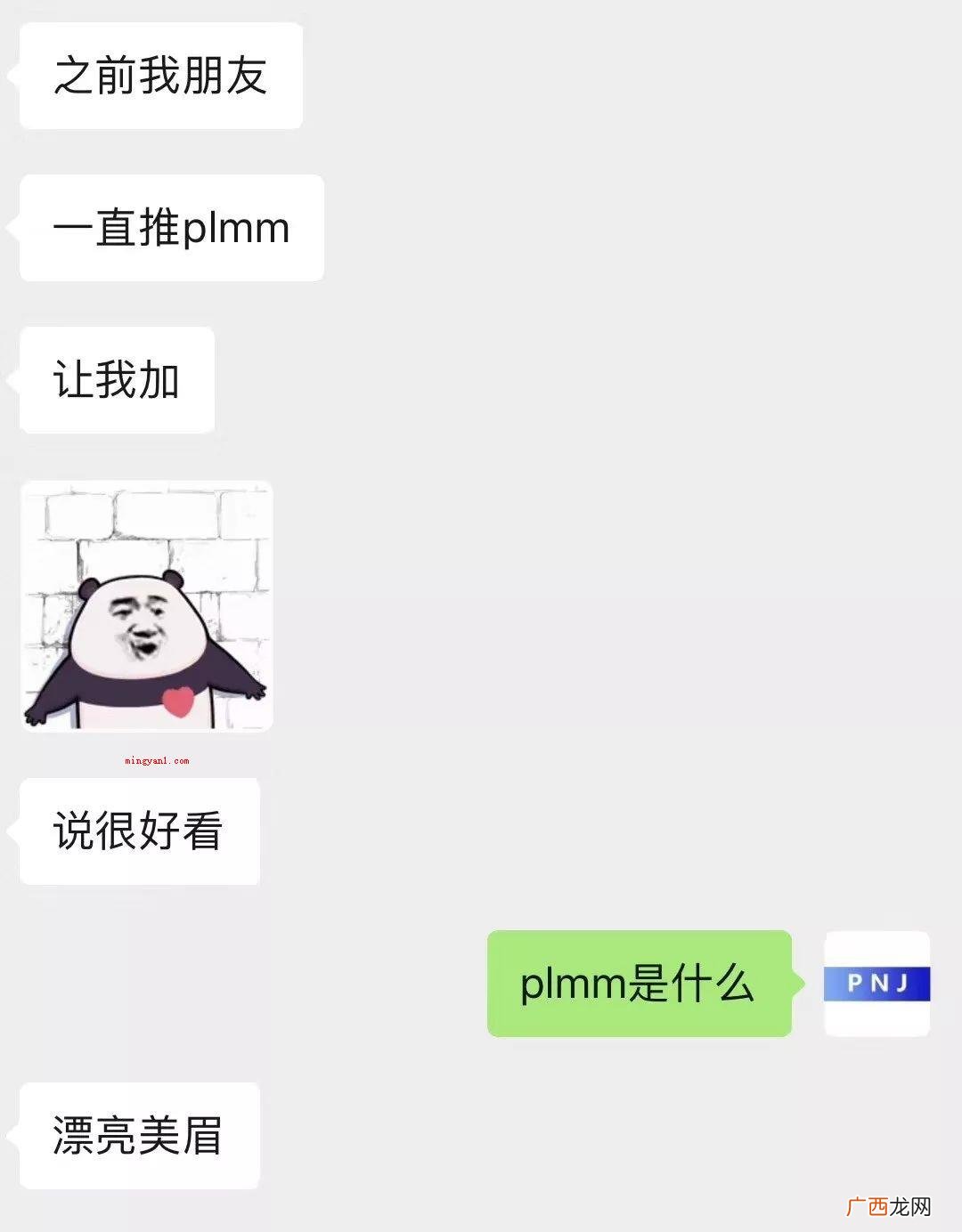 01漂亮美眉;漂亮妹妹plmm是什么意思,出自哪里? plmm是什么意思？