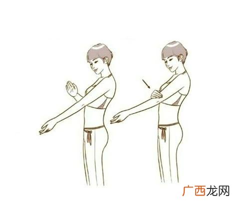 肘是哪个部位,肘子是猪的哪部分？