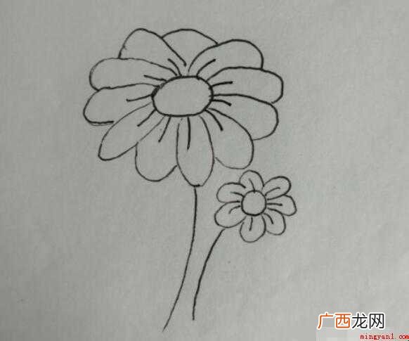 菊花简笔画怎么画【图文】 菊花简笔画怎么画